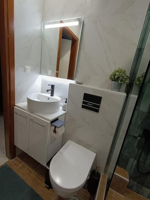 Callisto Apartment