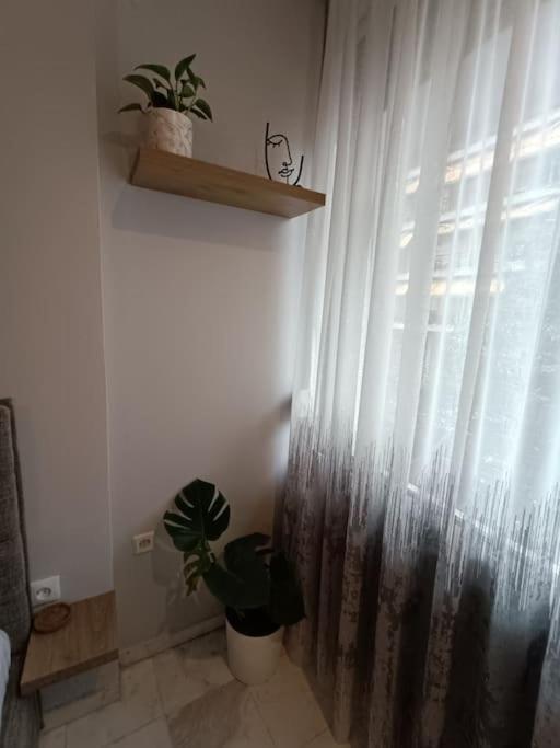 Apartment Callisto *